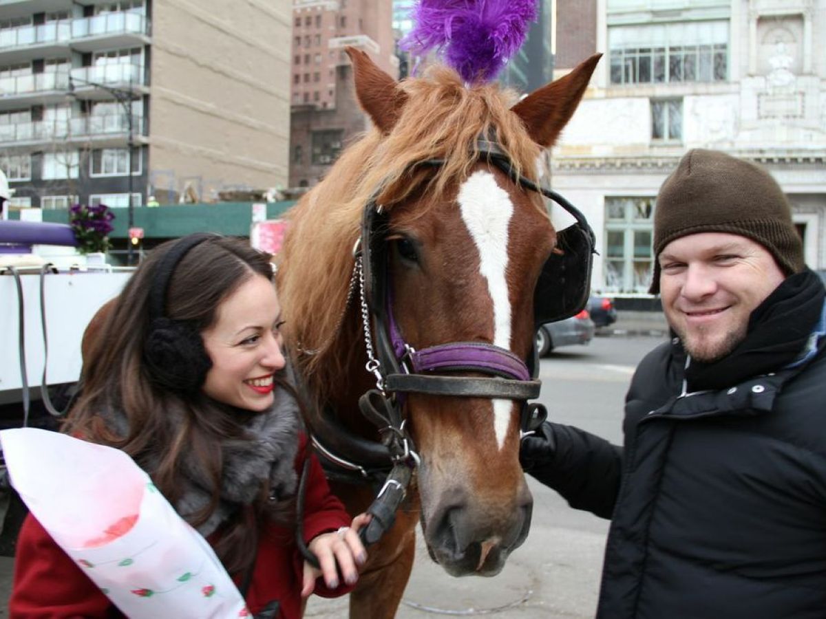 a person riding a horse