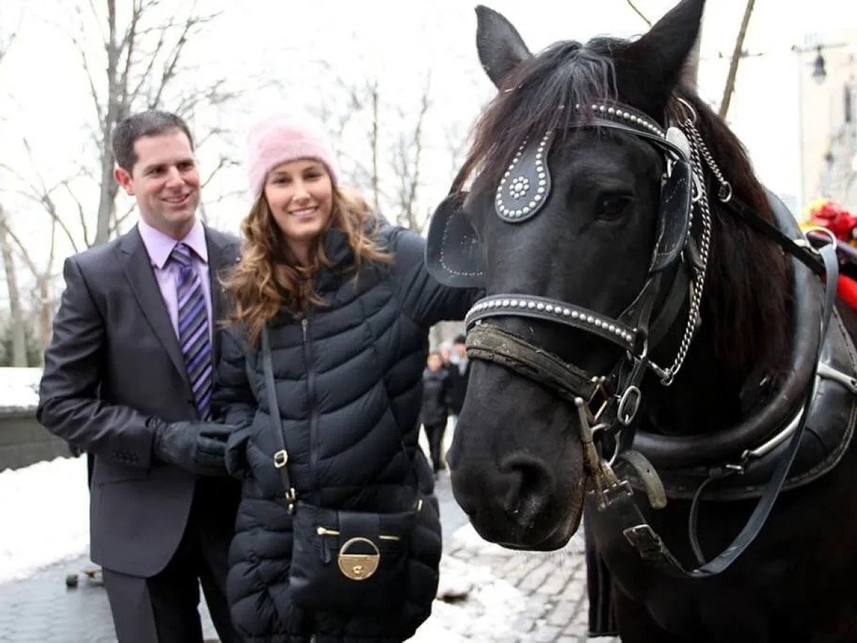 a person standing in front of a horse